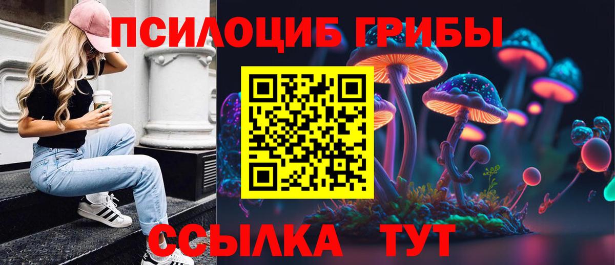 Псилоцибиновые грибы Psilocybe  Вход с VPN  где купить наркоту  Усть-Лабинск 